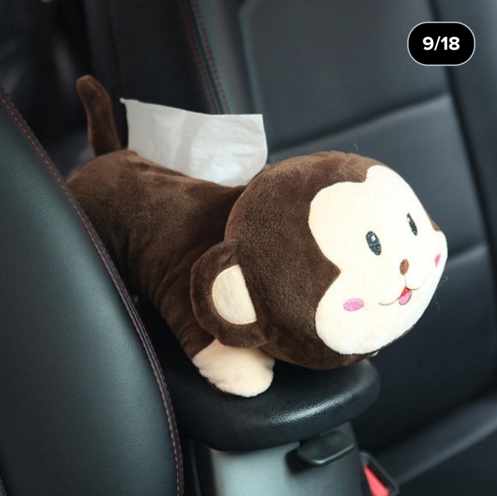 Tissue holder for car